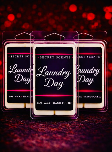 Laundry Day 3 pack, Highly Scented Wax Melts